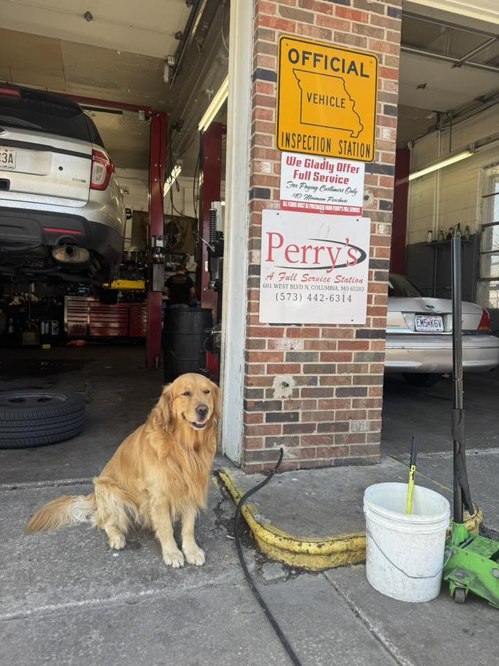 A golden retriever sitting beside the sign reading Perry's Full Service Station, we gladly offer full service